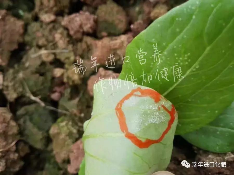 1541999881732425.jpg 圖片關(guān)鍵詞
