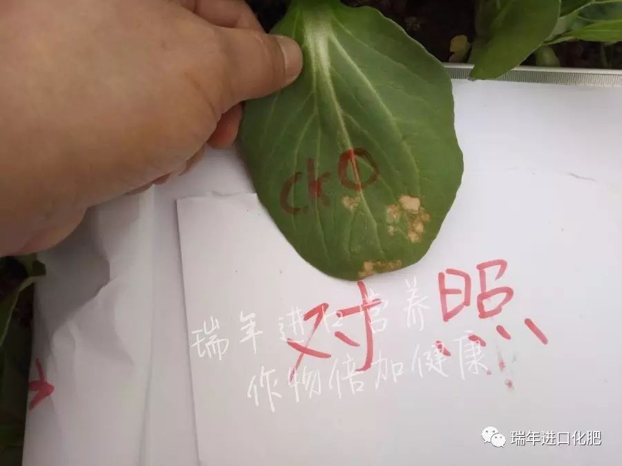 1541999882166977.jpg 圖片關(guān)鍵詞