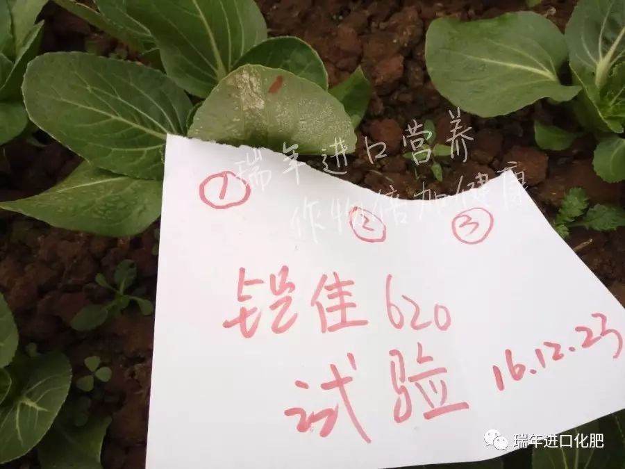 1541999882406118.jpg 圖片關(guān)鍵詞