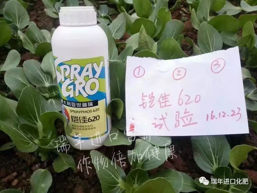 1541999882700875.jpg 圖片關(guān)鍵詞