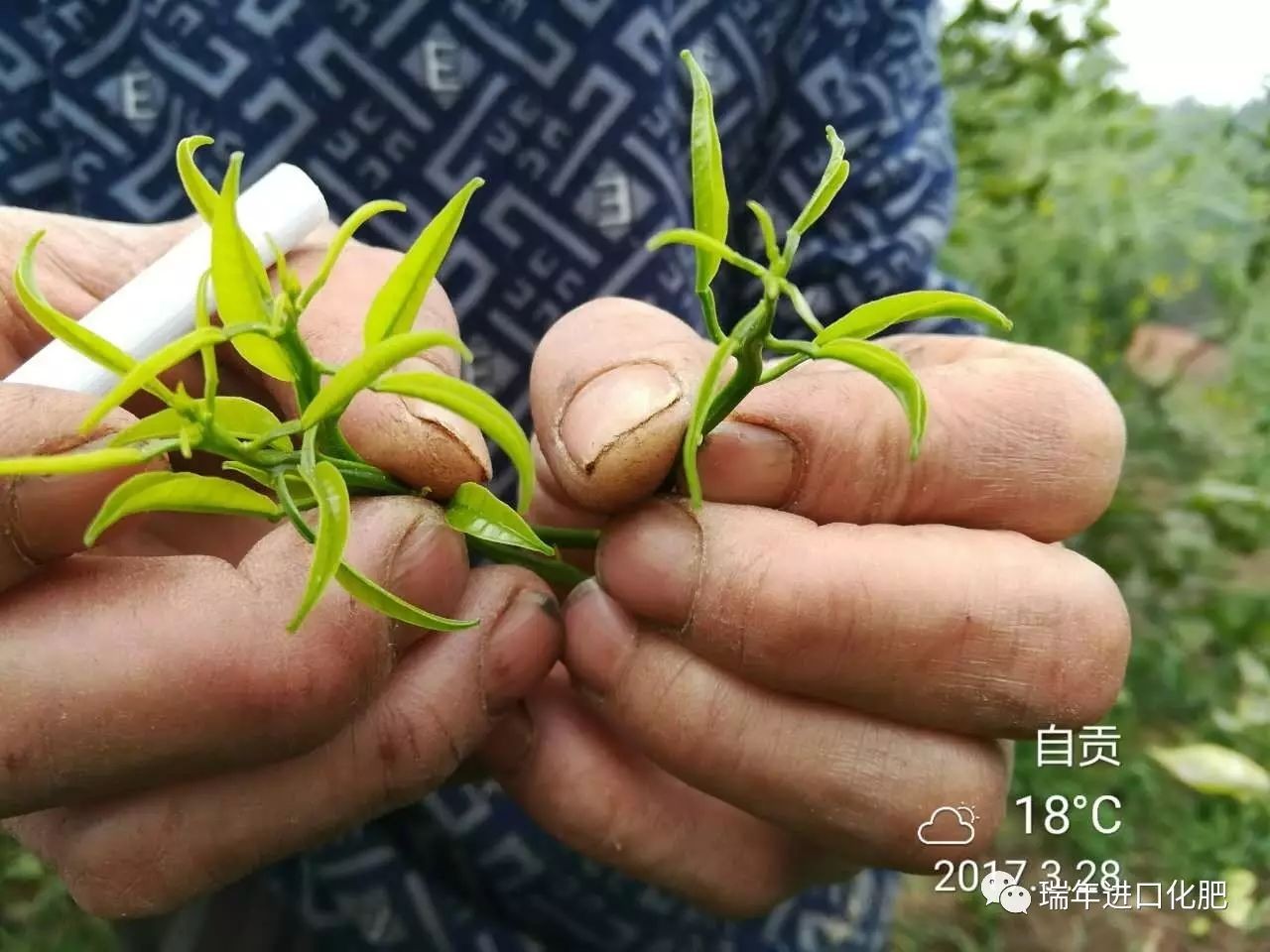 圖片關(guān)鍵詞
