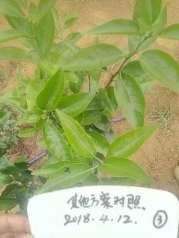圖片關(guān)鍵詞