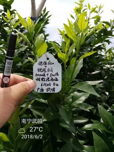 圖片關(guān)鍵詞