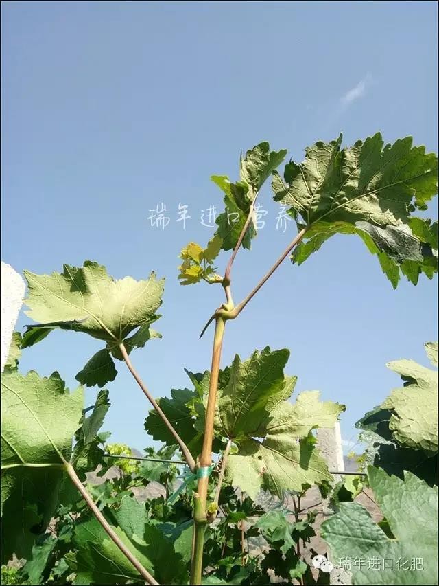 圖片關(guān)鍵詞