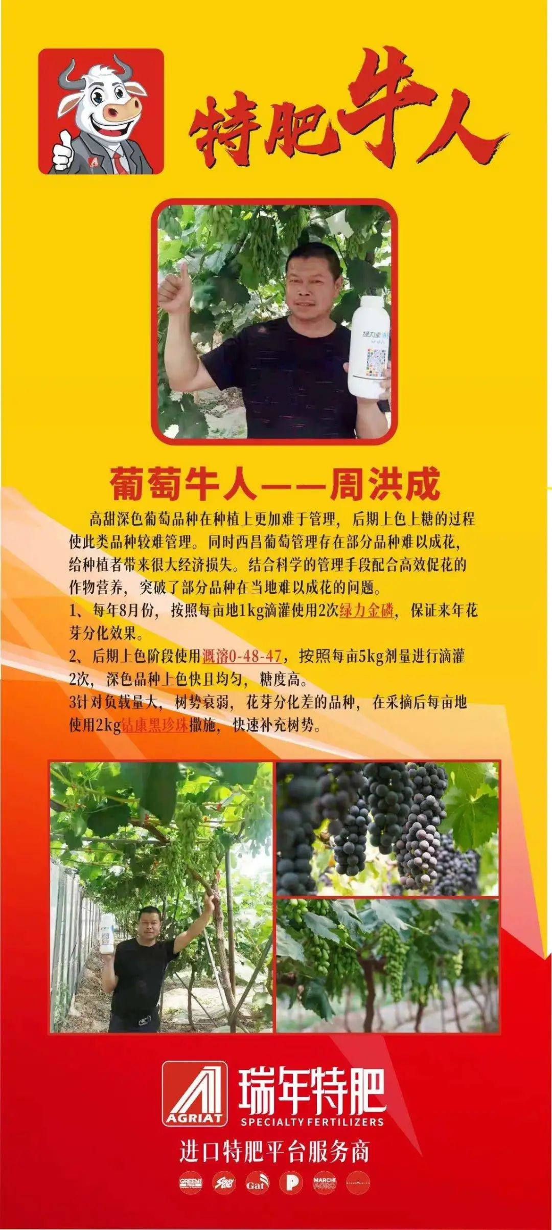 圖片關(guān)鍵詞 圖片關(guān)鍵詞