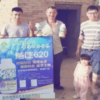 鎧佳620促溫棚冬棗轉(zhuǎn)色