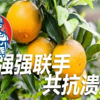 鎧佳620+鎧佳銅 強(qiáng)強(qiáng)聯(lián)手 共抗潰瘍