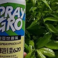 鎧佳620防治柑橘潰瘍病案例