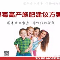 杭州瑞年草莓高產(chǎn)施肥建議方案