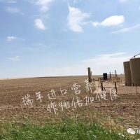 杭州瑞年考察美國(guó)化肥市場(chǎng)