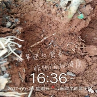 優(yōu)碳+海康，生根好搭檔