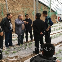 杭州瑞年舉辦山東壽光綠力系列產(chǎn)品推廣(guǎng)會(huì)