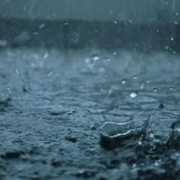 持續(xù)暴雨過(guò)後，如何拯救我們受傷的農(nóng)作物