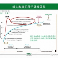 [GREEN SOLUTION]綠力海康進(jìn)行種子處理的機(jī)理和效果