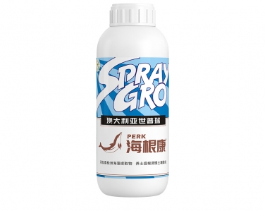 海根康