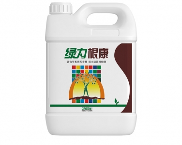 綠力根康