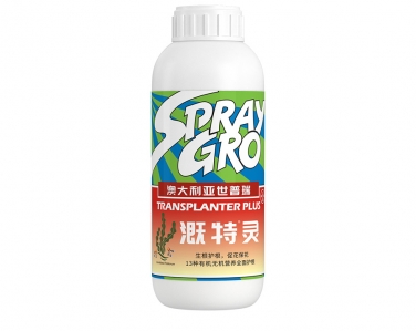溉特靈
