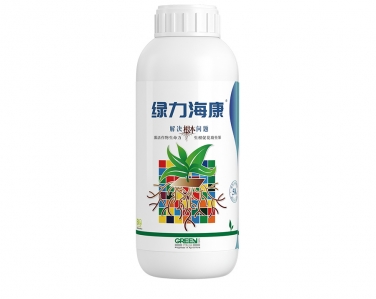 綠力海康