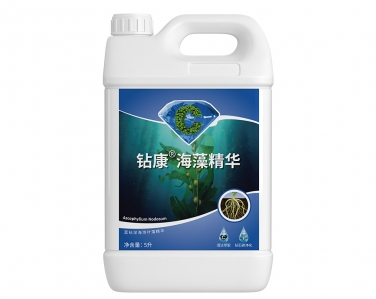 鑽康海藻精華