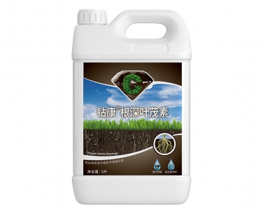 鑽康根深葉茂素