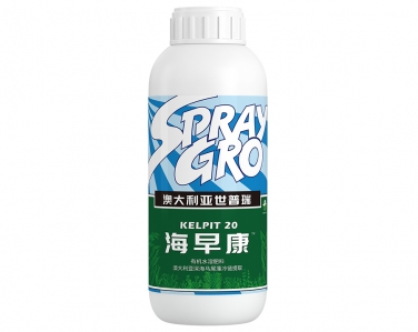 海早康