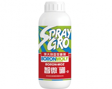 智微硼