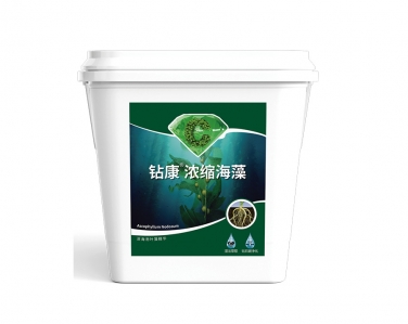 鑽康濃縮海藻
