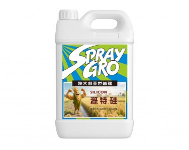 溉特矽