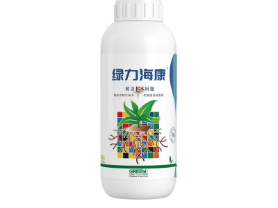 綠力海康