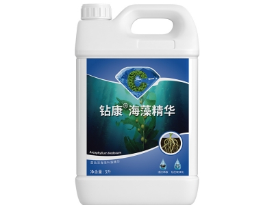 鑽康海藻精華