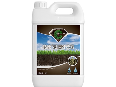 鑽康根深葉茂素
