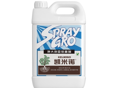 凱米諾