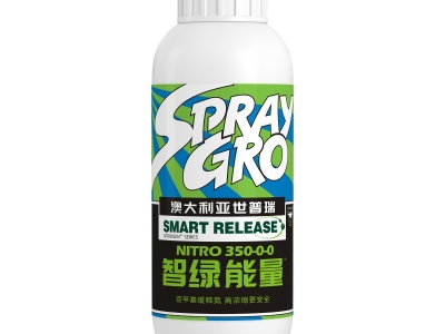 智綠能量