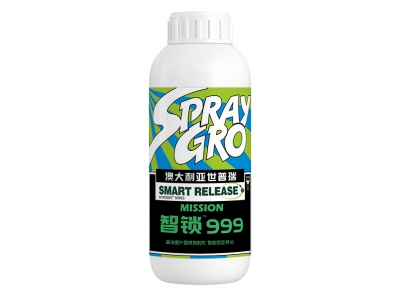 智鎖999