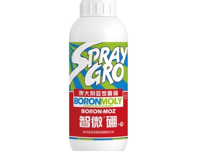 智微硼