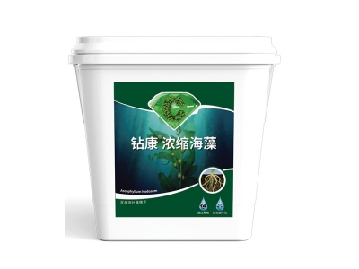 鑽康濃縮海藻