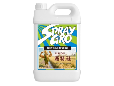 溉特矽
